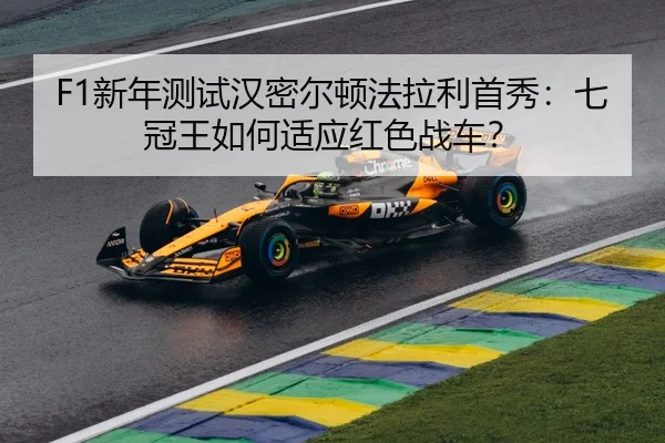 xin-nian-ce-shi-han-mi-er-dun-fa-la-li-shou-xiu-qi-guan-wang-ru-he-shi-ying-hong-se-zhan-che-2-578.jpg