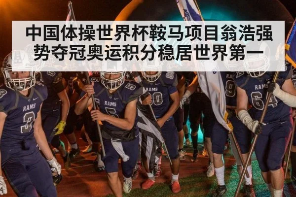 中国体操世界杯鞍马项目翁浩强势夺冠奥运积分稳居世界第一